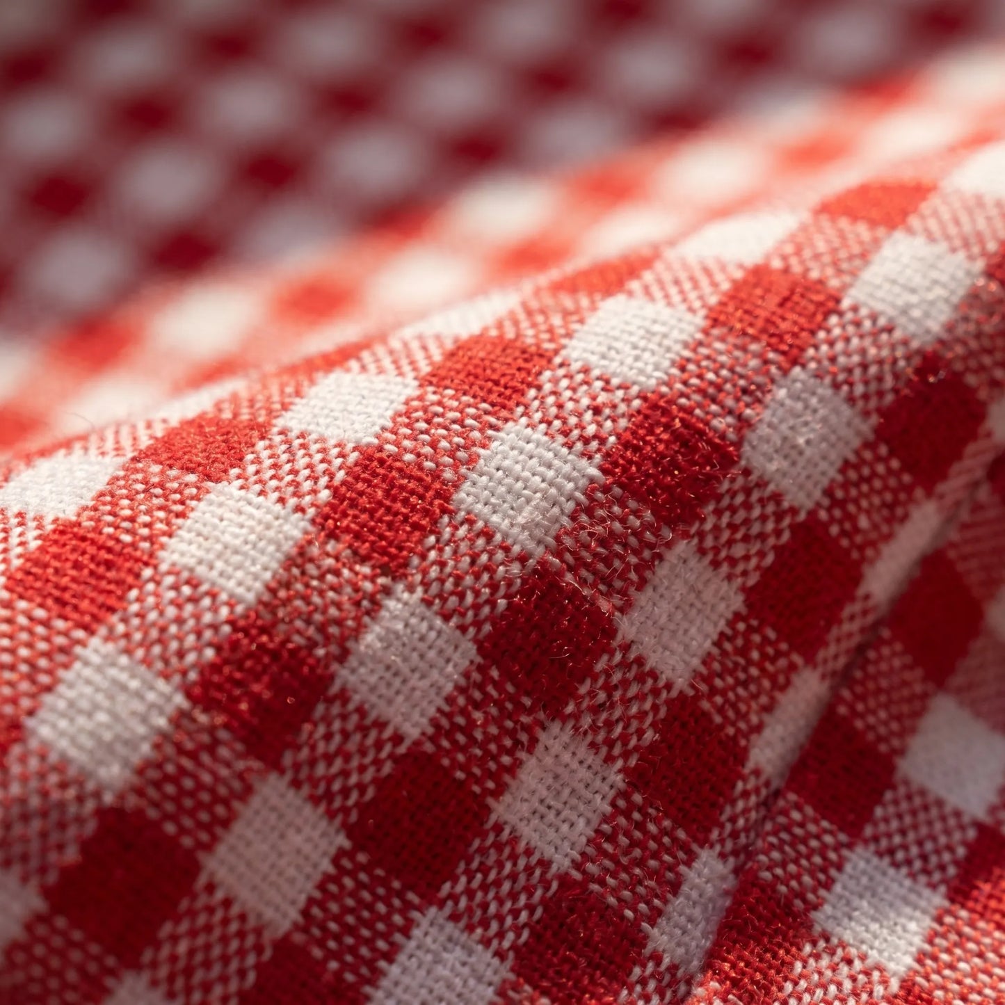 Gingrella | Gingham Print Halter Crop Top
